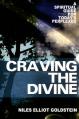  Craving the Divine: A Spiritual Guide for Today's Perplexed 