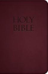  Holy Bible-Nab 
