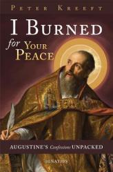 I Burned for Your Peace: Augustine\'s Confessions Unpacked 
