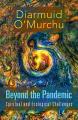  Beyond the Pandemic: Spiritual and Ecological Challenges 
