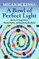  A Bowl of Perfect Light: Stories of Forgiveness, Reconciliation and Repairing the World 