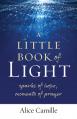  A Little Book of Light: Sparks of Hope, Moments of Prayer 