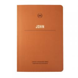  Lsb Scripture Study Notebook: John 