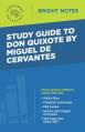  Study Guide to Don Quixote by Miguel de Cervantes 