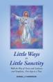  Little Ways to Little Sanctity: Walk the Way of Christ with Littleness and Simplicity...One Step at a Time 