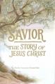  Savior: The Story of Jesus Christ 