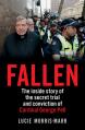  Fallen: The Inside Story of the Secret Trial and Conviction of Cardinal George Pell 