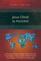  Jesus Christ as Ancestor: A Theological Study of Major African Ancestor Christologies in Conversation with the Patristic Christologies of Tertul 