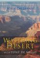  Watering the Desert: With Tony de Mello 