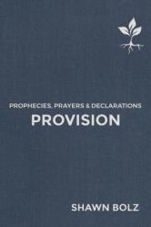  Provision: Prophecies, Prayers & Declarations Volume 2 