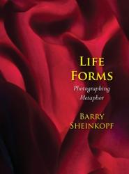  Life Forms: Photographing Metaphor 