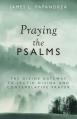  Praying the Psalms: The Divine Gateway to Lectio Divina and Contemplative Prayer 